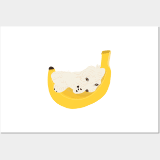 Cute Banana Maltipoo Posters and Art